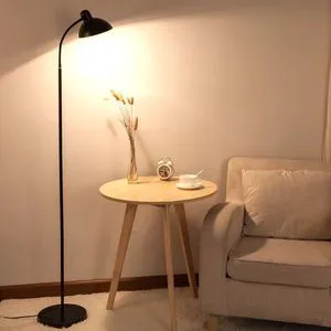 Nordic Creative LED Floor Lamp For Bedroom Living Room Study Room Simple Modern Ins Design With Eye Protection Red Standing Lamp