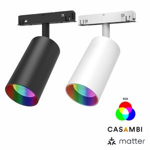Matter RGBW Smart Track Light 16 Million Colors Full Spectrum Music Sync LED Spotlight For Home Cinema Casambi App Control