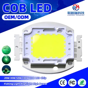 High Power 20W 30W 50W 100W COB LED Chip Highlight For Fishing Light