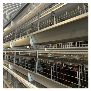Automatic 4-Tier Battery Operated Chicken Laying Hens Cage New Farm Equipment For Poultry Layer & Rabbit Breeding Mesh House