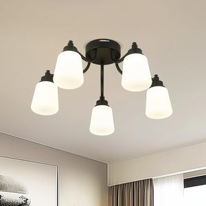 House Lights Modern Indoor Ceiling Light 3cct Dimming Metal Glass 22 Inch 48w Led Ceiling Lamp for Bedroom Kitchen