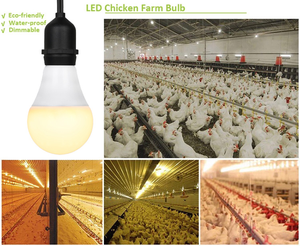LED Dimmable Led Bulb Flicker Free for Poultry Farm Bulb Light Full Spectrum LED Chicken Farms