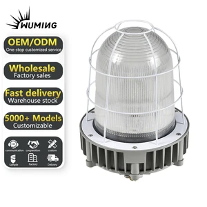 IP66 Explosion-Proof LED Bulkhead Light E27 Base Die-Cast Aluminum Outdoor Industrial Ceiling Light for Warehouse