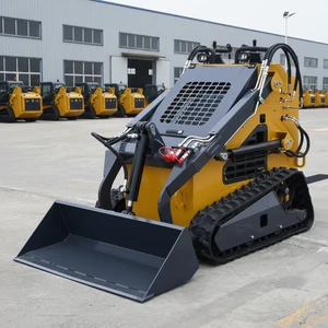 Premium Series Weatherproof Operator Safety Focus High Efficiency Construction Transport Building Site Works Skid Steer Loader