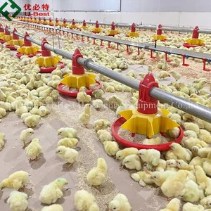 China Manufacturer Cheap Price Modern Poultry Farm Equipment For Broiler Raising