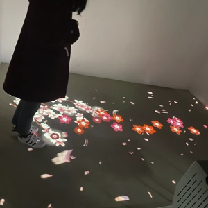 Custom Portable Dance Led New Version Interactive Floor