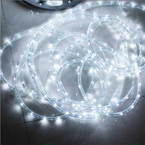 24V 220V IP65 Waterproof PVC LED Rope Light 100M Christmas Red RGB Decoration String Strips for Outdoor High Brightness Neon