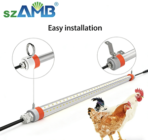 LED Poultry Light T8 Flicker-free IP67 Horizontal Hanging 4ft 20W 130lm/W 2700K-6500K 5-Year Warranty
