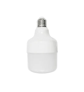 Hontech Wins DC48V/ AC220V Led Poultry Bulbs IP67 Dimmable Chicken Led Light for Poultry Farm /livestock