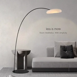 Simple Modern Iron Acrylic Floor Lamp for Living Room Study Lobby Sofa Side with LED Light