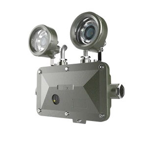 ATEX LED Explosion Proof Emergency Light For Hazard Place Emergency Twin Head