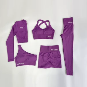 Wholesale High Stretch Compression 5 Piece Yoga Set Sport Bra and Booty Lift Panties Set Long Sleeve Tops Set for Women