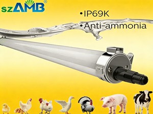 LED Tri-Proof Light IP69K 4ft 5ft 20W 40W 50W 60W Flicker-Free CE RoHS 5-Years Warranty for Livestock Barn