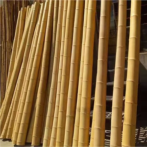 Small Bamboo Fence Anti-corrosion For Outdoor Garden & Indoor Partition Decoration With Bamboo Pole And Ceiling Rod