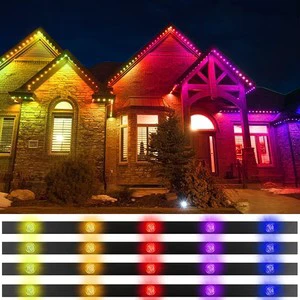 Permanent Holiday Christmas Decoration Light IP68 Waterproof Landscape Outdoor Roof Lighting DC12V RGBW Led Pixel Point Light