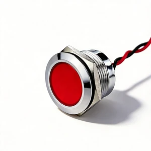 6mm 8mm 10mm 12mm 16mm 19mm 22mm Enlarge Panel Metal Indicator Light with IP65 Protection LED Display for Welding Pin Equipment