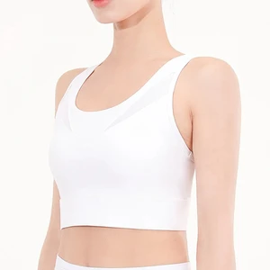Outdoor Use Adult Women Sports Bra Premium Quality Women Sports Fitness Bra Seamless Women Sports Bra