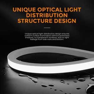 SHUNQI Architectural Underwater LED Neon Flex IP68 Waterproof Strip Light For Landscape Pond And Spa Lighting