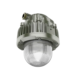ATEX Anti-Glare Long Glass LED Explosion Proof Outdoor Light 20w 30w 40w