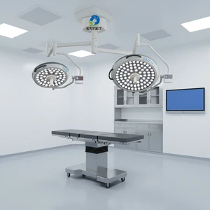EUR PET Low Price Wall-Mounted LED Surgical Light Veterinary Equipment Ceiling Mounted Surgery Lights
