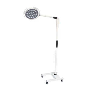 Floor Mobile Medical LED Examination Lamp Minor Surgery Light for Gynecology