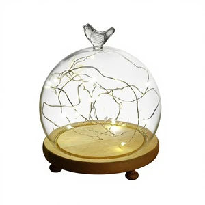 Yongshenghua High Borosilicate Glass Cover LED Night Light with Remote Control Creative Design Dome Shape Simple Modern
