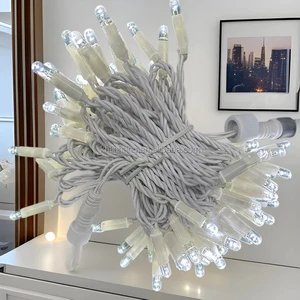 Outdoor IP65 Waterproof LED Light Strings 5m 10m 20m 30m Fairy Christmas Wreath Lights for Landscape Tree Decoration