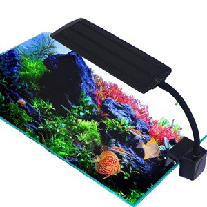 2021 New Eco-Friendly Metal LED Light Aquarium Fish Tank Lamp Clip-On Water Grass Moss Aquatic Plant Lamp
