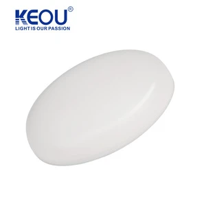 KEOU Surface Mount House Lights Modern Indoor 24W Ceiling Light