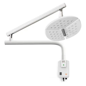 400 LED CE Marked Veterinary Surgical Light Wall Mounted Medical OT Operating Light for Oral Procedure Power Source Electricity