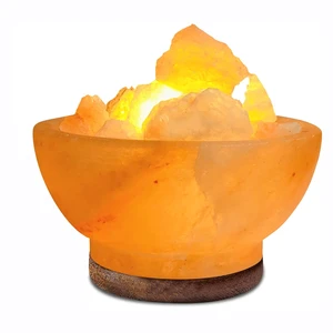 Handmade Custom Mini Himalayan Salt Brick Wall Lamp Carved Bowl Shape Night Light Natural Crafts Decorative Easter Piece