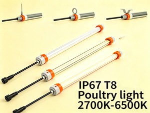 LED Poultry Light, IP67 Waterproof, Flicker-Free, 18W-28W, T8 Tube, Red+White Switchable, 5-Year Warranty