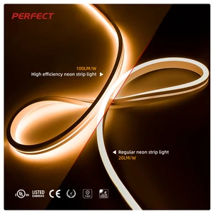 High Luminous Efficiency Led Neon Light Ip67 With Seamless End Cap 06x12 Side Bendable Led Neon