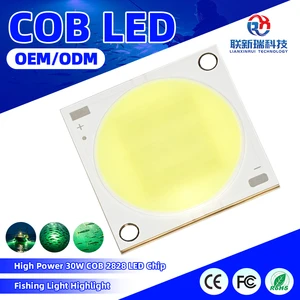 High Power 30W COB LED Chip 2828 COB LED Diode Highlight For Fishing Light