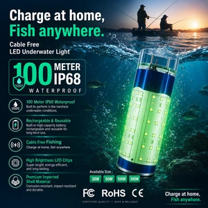 Cable Free Saltwater Ocean Marine Underwater Small 30W 12V Waterproof Green Automatical LED Fishing Light
