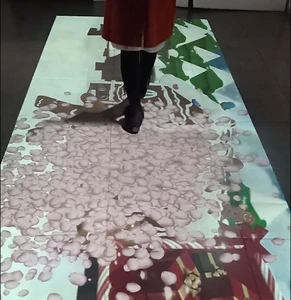 Hot Promotion New Interactive Floor High Quality Projection