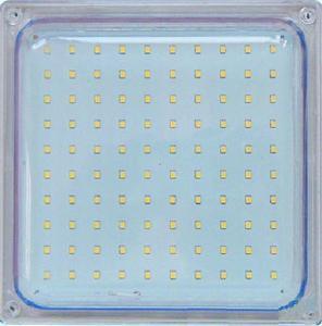 Customized Waterproof LED Cooler Lamp for Hotels Food Factories Retail New Eco-Friendly Cold Storage Light for Restaurants