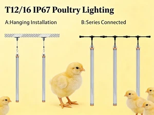 Chicken Coop Lighting T16 Tube 30W Red+White Switchable 0-100% Dimming 2700K-6500K Barn Light