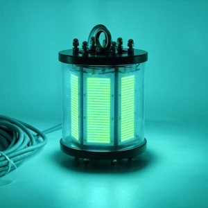 1000W LED Night Fishing Light Deep Sea IP68 Lightings for Fish Attraction Underwater Fishing Light for Ocean Fishing