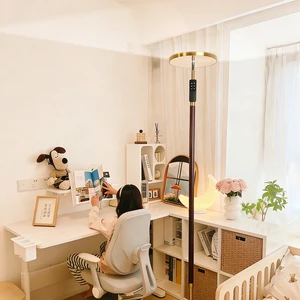 Minimalist Modern LED Floor Lamp Remote Control Stepless Dimmable Color Change Wood Standing Light Warehouse Home Decor