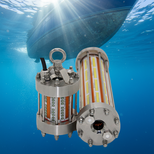 Bi-Color White Red Blue Green Marine Sea Water Garden Salt Water Underwater Night Green Squid Led Diving Yacht Fishing Light
