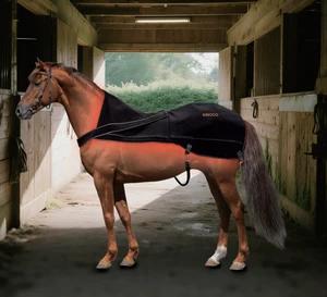 Equine LED Infrared 660nm & 850nm Horse Back Red Light Therapy Blanket Led Light Therapy Mat For Pain Relief Led Light Therapy