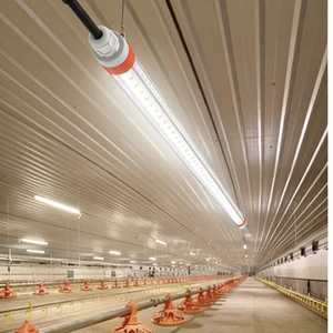 IP67 Waterproof 2700K-6500K LED Light Poultry Led Lighting 9/20/24/28W for Livestock House