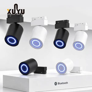 Minimalist Aesthetic Magnetic Track Light Speaker Music Sync LED Rail For Modern Luxury Hotel Lobby And Project Decor