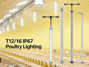 Poultry Lighting LED T12 Tube, Flicker-Free, 0-100% Dimmable, Red+White Switchable, 18W for Chicken Coop