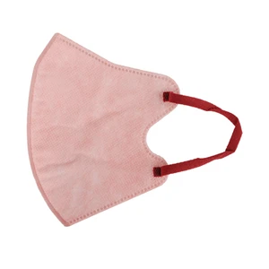 Adult Three-layer Face Mask Protective Mask 3D Mask