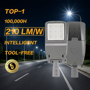 2025 Project Grade AC IP66 IK08 Die Cast Aluminum Alloy High Efficacy LED Street Light For Roadway