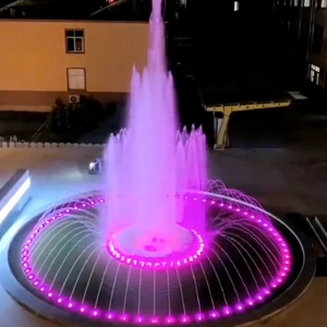 Deluxe Square DMX512 Floating Music Fountain Outdoor Garden Pool Equipment with Dancing Water FountainGarden Products for Sale