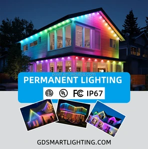 4inch 6inch 9inch 12inch DC24V IP67 RGBWIC Addressable Permanent Outdoor Lights For Christmas Holiday House Tracks