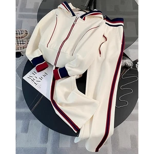 Wholesale High-quality Casual Knitting Zipper Sports Suit Unisex European Outdoor Commuting Hoodie Straight Pants Two-Piece Set